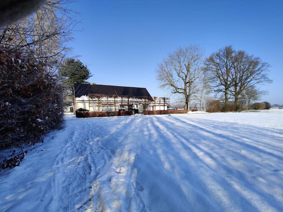 The Horst Cottage Holsbeek Eksteriør billede