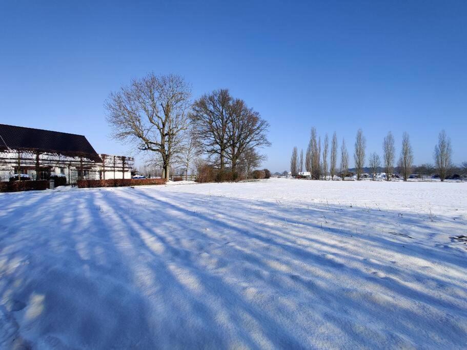 The Horst Cottage Holsbeek Eksteriør billede