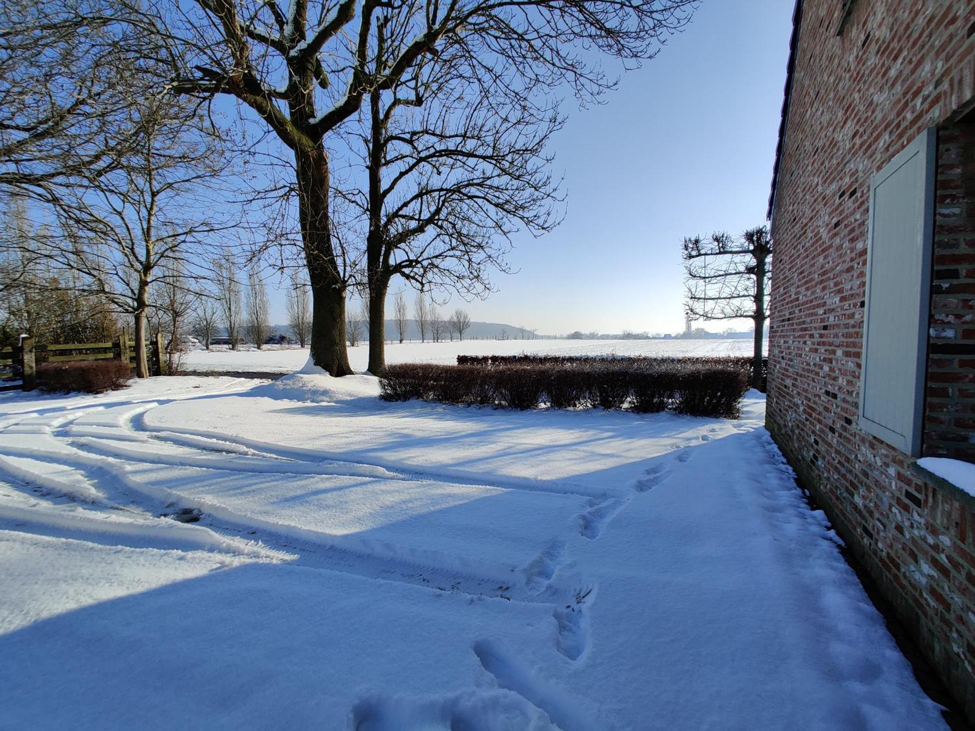 The Horst Cottage Holsbeek Eksteriør billede
